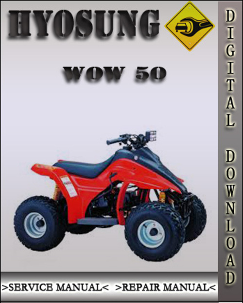 Product picture Hyosung WOW 50 Factory Service Repair Manual